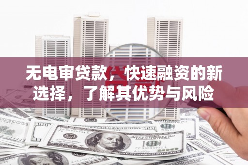 平果无电审贷款，快速融资的新选择，了解其优势与风险