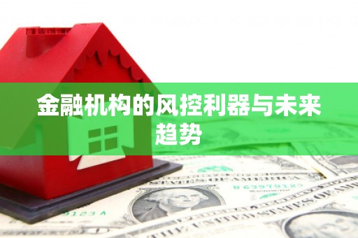平果金融机构的风控利器与未来趋势