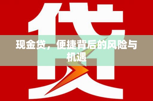 平果现金贷，便捷背后的风险与机遇
