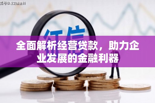 平果全面解析经营贷款，助力企业发展的金融利器