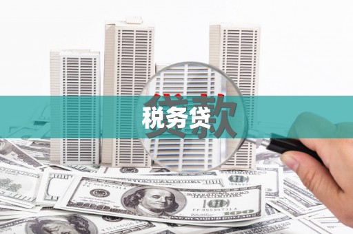 平果税务贷