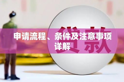平果申请流程、条件及注意事项详解