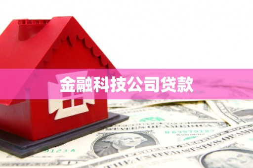 平果金融科技公司贷款