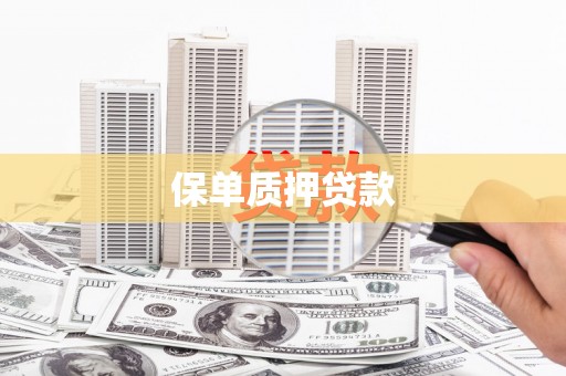 平果保单质押贷款
