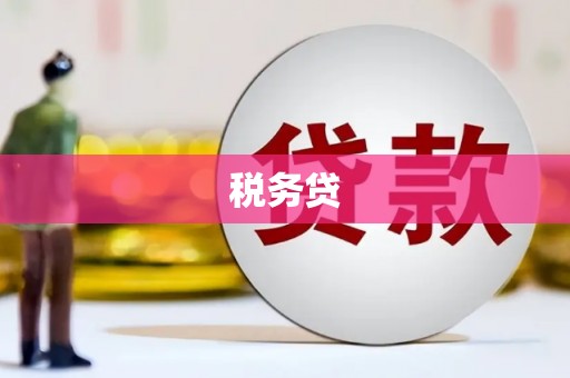 平果税务贷
