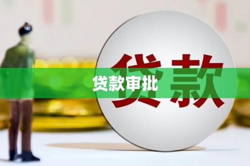 平果贷款审批
