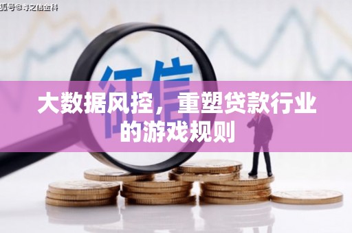 平果大数据风控，重塑贷款行业的游戏规则