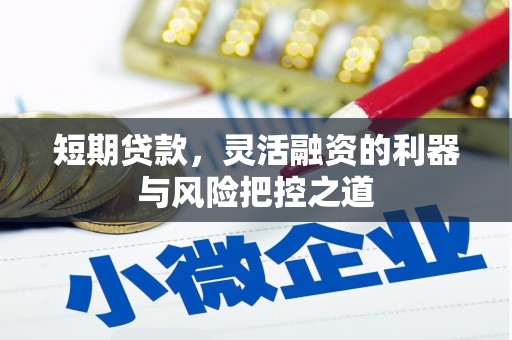 平果短期贷款，灵活融资的利器与风险把控之道
