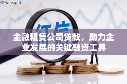 平果金融租赁公司贷款，助力企业发展的关键融资工具
