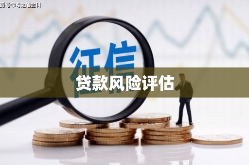 平果贷款风险评估