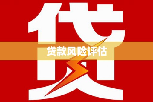 平果贷款风险评估