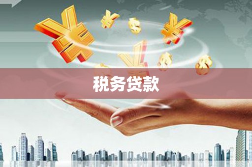 平果税务贷款