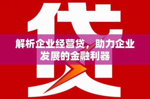 平果解析企业经营贷，助力企业发展的金融利器