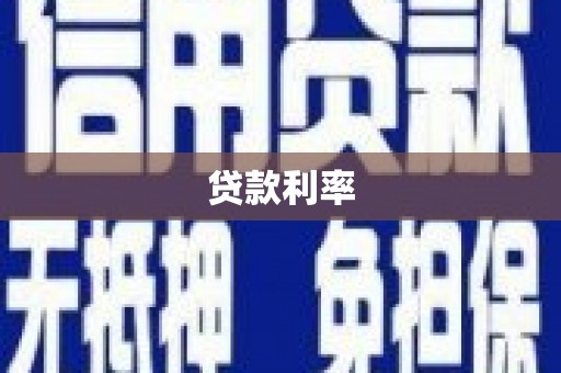 平果贷款利率