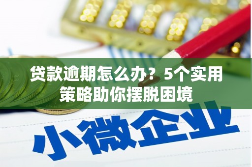 平果贷款逾期怎么办？5个实用策略助你摆脱困境