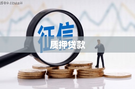 平果质押贷款
