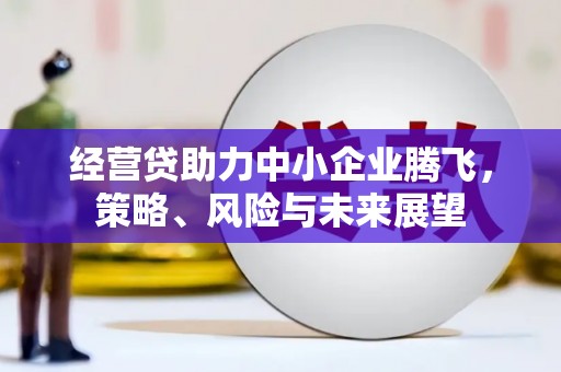 平果经营贷助力中小企业腾飞，策略、风险与未来展望