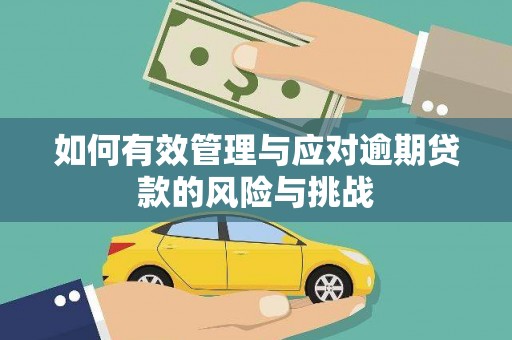 平果如何有效管理与应对逾期贷款的风险与挑战