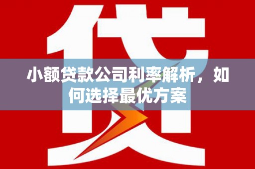 平果小额贷款公司利率解析，如何选择最优方案