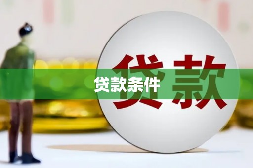 平果贷款条件