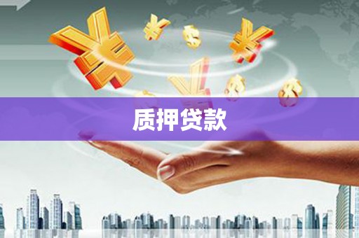 平果质押贷款