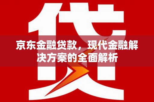 平果京东金融贷款，现代金融解决方案的全面解析