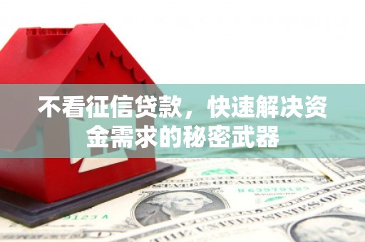 平果不看征信贷款，快速解决资金需求的秘密武器