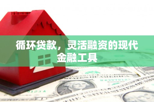 平果循环贷款，灵活融资的现代金融工具