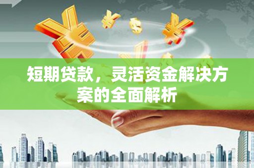 平果短期贷款，灵活资金解决方案的全面解析