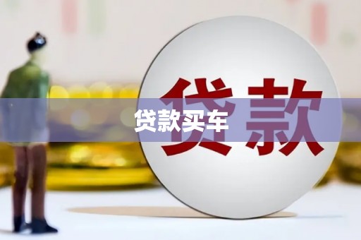 平果贷款买车