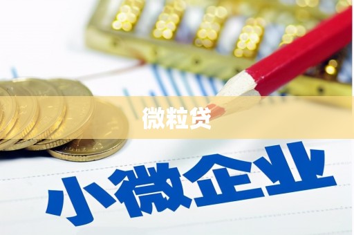 平果微粒贷