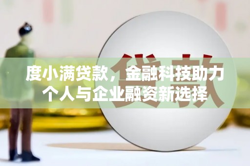 平果度小满贷款，金融科技助力个人与企业融资新选择