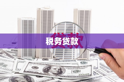 平果税务贷款
