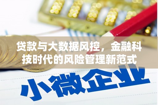 平果贷款与大数据风控，金融科技时代的风险管理新范式