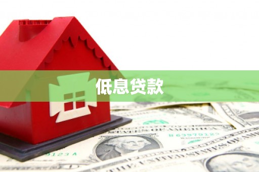 平果低息贷款