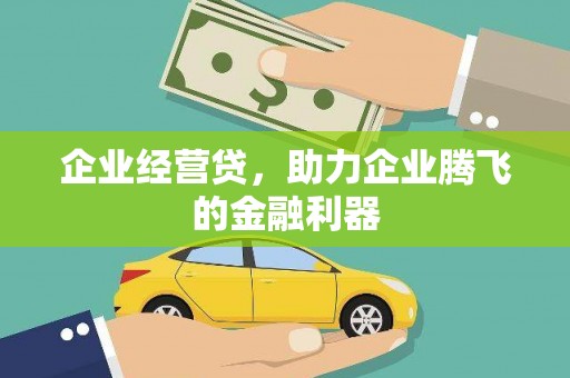 平果企业经营贷，助力企业腾飞的金融利器