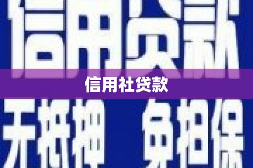 平果信用社贷款