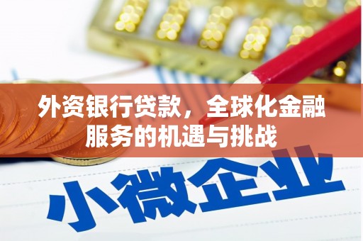 平果外资银行贷款，全球化金融服务的机遇与挑战