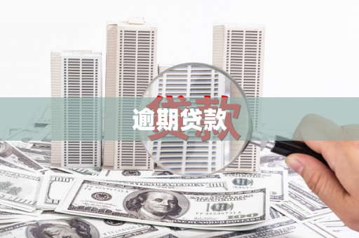 平果逾期贷款