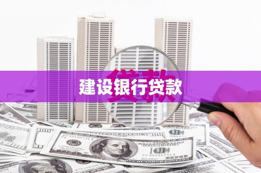 平果建设银行贷款