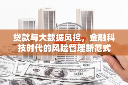 平果贷款与大数据风控，金融科技时代的风险管理新范式