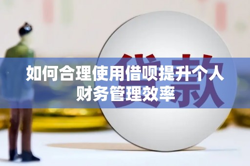 平果如何合理使用借呗提升个人财务管理效率