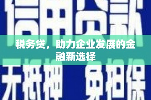 平果税务贷，助力企业发展的金融新选择