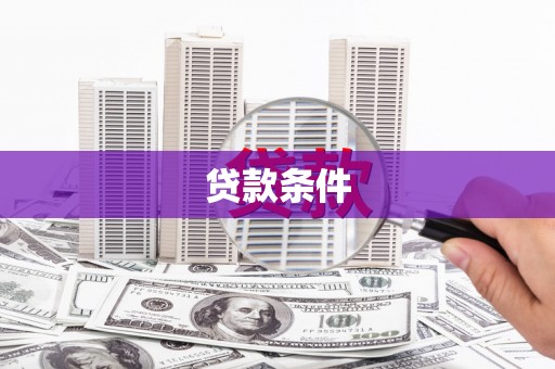 平果贷款条件