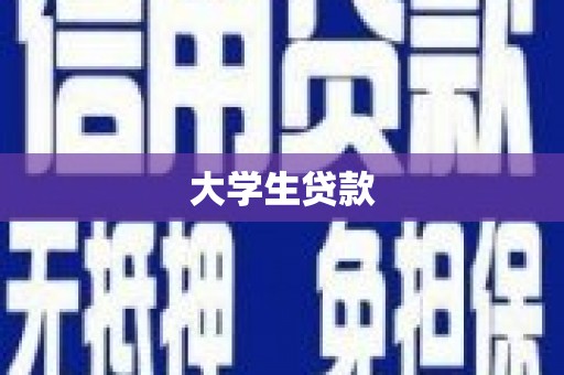 平果大学生贷款
