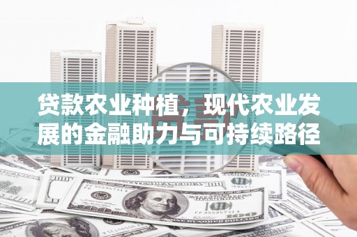 平果贷款农业种植，现代农业发展的金融助力与可持续路径