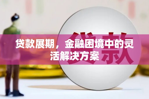 平果贷款展期，金融困境中的灵活解决方案