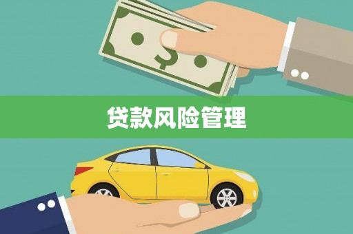 平果贷款风险管理