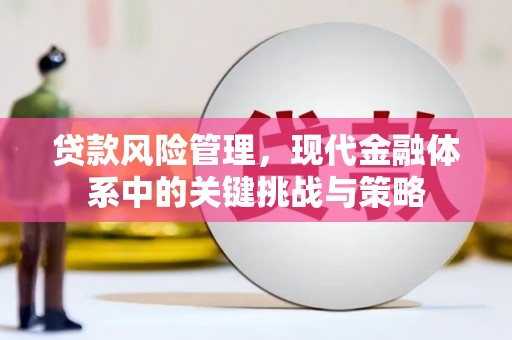 平果贷款风险管理，现代金融体系中的关键挑战与策略