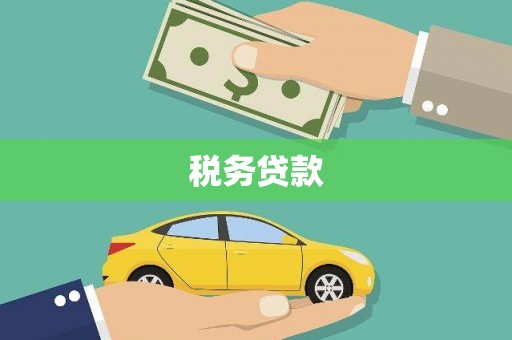 平果税务贷款